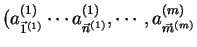 $ (a^{(1)}_{\vec{1}^{(1)}}
\cdots a^{(1)}_{\vec{n}^{(1)}}, \cdots ,a^{(m)}_{\vec{m}^{(m)}}$