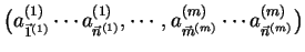 $ \big(a^{(1)}_{\vec{1}^{(1)}}
\cdots a^{(1)}_{\vec{n}^{(1)}}, \cdots ,a^{(m)}_{\vec{m}^{(m)}}
\cdots a^{(m)}_{\vec{n}^{(m)}}\big)$