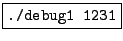 \fbox{\tt ./debug2}