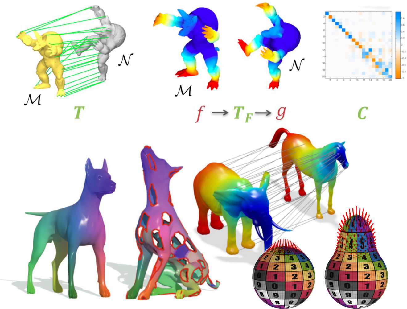 assets/functional_maps.png