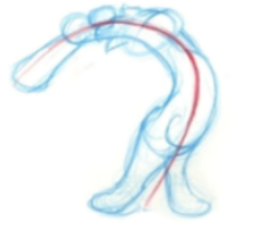 assets/posing_line_of_action.png