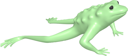 assets/frog1.png