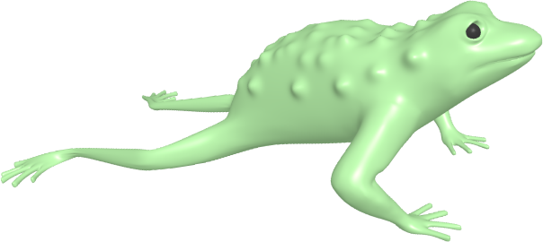 assets/frog2.png