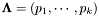 $ \mathbf{\Lambda} = (p_1, \cdots, p_k)$