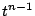 $t^{n-1}$