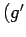 $(g^{\prime}$