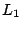 $L_{1}$